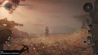 Nioh OP Tiger Talisman Tech (knock down city)