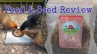 Bug-a-licious by Little Farmer Products | Feed & Seed Review