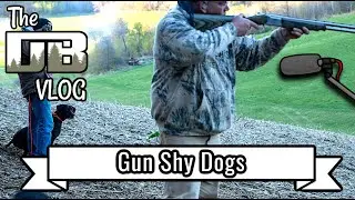 Gun Shy Dogs and Shaping the Retrieve | Ep: #149