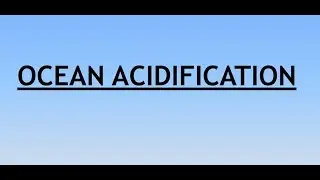 Environment and Ecology Lecture 11.4 - Ocean Acidification