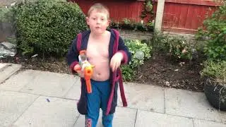 Nerf spr