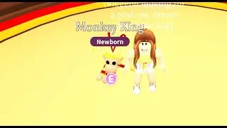 OPENING PREMIUM MONKEY BOXES+MAKING MONKEY KING- in Roblox adopt me