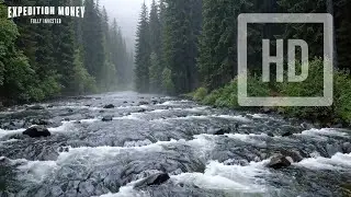 8 HOURS Misty Forest River Sounds 🏔️ POWERFUL MOUNTAIN RAPIDS