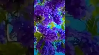 love song || love song #viralvideo #lovemusic #lovestatus #love #sonylover #whatsappstatus #popular