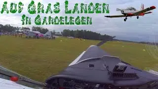 Auf Gras Landen in Gardelegen