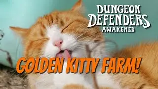 DDA - Golden Prop Cat Farm! Dune Eater Full AFK!
