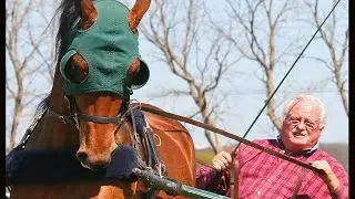 TRUE HORSEMANSHIP WITH GENE BROWN