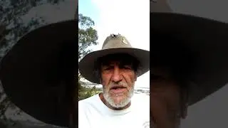 Glass on the Bar by Henry Lawson