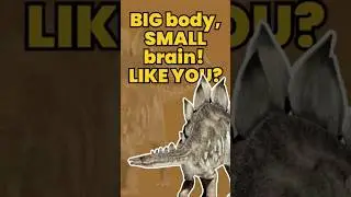 BIG BODY, Small Brain! Like YOU?!