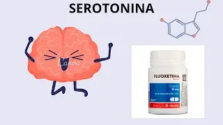 SEROTONINA (neurotransmisor) (Bioquímica, Fisiología y farmacología)