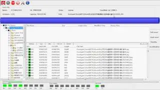 Introducing File Image Function of DFL-DDP Data Recovery Equipment