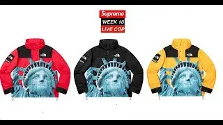 SUPREME FW19 WEEK 10 LIVE COP (The North Face Collab)
