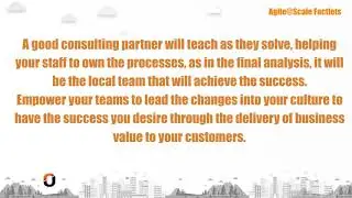 Objective Factlet: Agile Consultancy