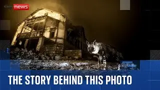Wildlife Photographer of the Year 2025 award announced