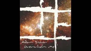 Overwhelm Me (Part 2) - Adam Bitter