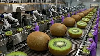 How They Process Fresh Kiwi Fruit Into Kiwi Juice Inside a Modern Kiwi Processing Plant Full Process