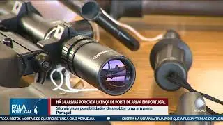 Há 14 armas por cada licença de porte de arma em Portugal