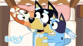 Bluey ve Bingo ile oyunlar | Bluey T&uuml;rk&ccedil;e Resmi Kanal