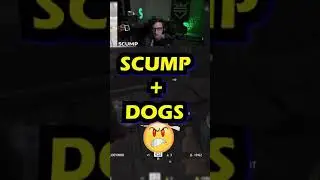 think SCUMP doesnt like the VANGUARD dogs..