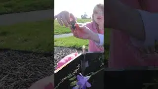 ADLEY & DAD GARDENERS!! Pirate Island Planting Baby Flowers! Learning How to Pot Plants🌻