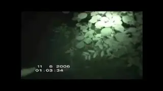 ALIEN GREY UFO SIGHTING