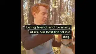 humanity`s best friend #shorts
