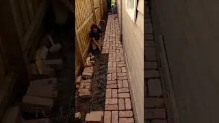 Basket weave brick path #brickwalkway #backyarddesign #diy #gardenpath