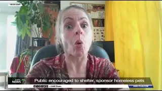 Public encouraged to shelter, sponsor homeless pets: Samanta Stelli