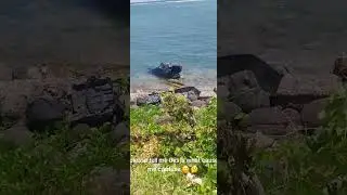Flying car lands in sea Norwich Portland #thewrecks #careless #reckless #crash #badroads #cardriver