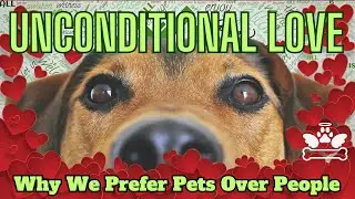 Lessons in Love: The Pet Connection