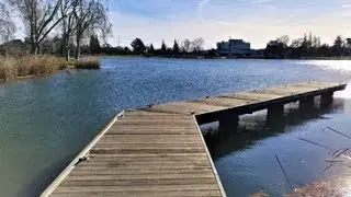 1 Hour Relaxing Music Along with Beautiful Lake and Birds Sounds