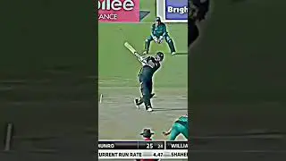 AFRIDI_SHOWING_LEVEL_TO_MUNRO_😈 #cricket_ #shortvideo #youtubeshorts #subscribe #psl #bpl #viral
