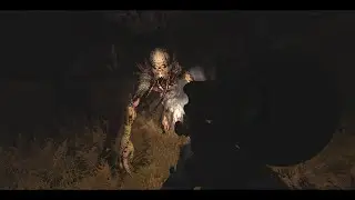 Nocturnal Mutants in a Nutshell