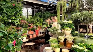 🌼🌷Scandinavian Spring Home Decoration Ideas 2026 at Beautiful Stockholm&rsquo;s Florist Greenhouse 🇸🇪