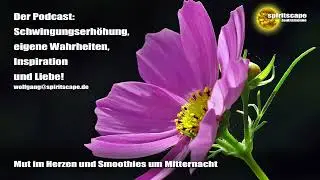 Mut im Herzen und Smoothies um Mitternacht - Podcast