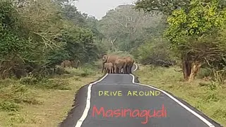 Drive around Masinagudi | Moyar Dam | Kalhatti Falls | View Points
