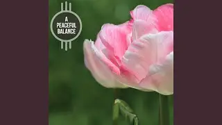 Soft Piano Dreams