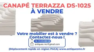 Canap&eacute; Terrazza DS 1025 &agrave; vendre