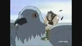 The Pigeon God