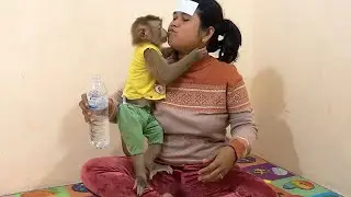 Smart Boy Jason So Lovely Kissing Worry Mom Take Medicine