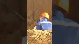 Сидит че то Нюхает, не понятное🤣😭
