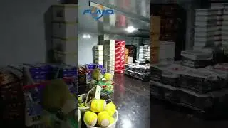 Cold Room for Fruits Storage