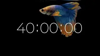 40 Minute Classroom Timer with Soft Music | 4K Calm Visual | Produced by SoniCentric
