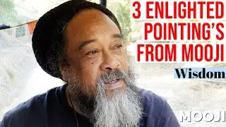 Mooji - 3 Enlighted Pointing's That Will Remove Everything Falls - Wisdom