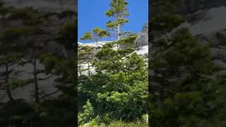 #hikingcanada #explorecanada #mountains #explorebc #mountains #hiking #hikingadventures #hikingbc