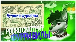 🐺 Роско смотрит Лучшие фурри-виды – Аналитика фэндома