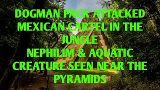 DOGMAN PACK ATTACKED MEXICAN CARTEL IN THE JUNGLE, NEPHILIM & AQUATIC CREATURE SEEN NEAR PYRAMIDS