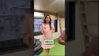 Online payments via Melio - the easy way to pay #melio