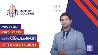 PGC lectures-Inter Part 2-Federal Board-Biology-Chapter 18-Adrenal Gland (Part 1)