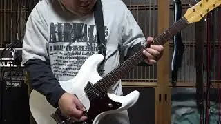 Zen on ZES 300 & PEAVEY 6505 MH Mini Head Japan Edition  006